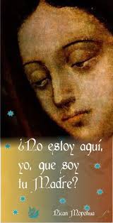 Frank Lazcano (lazcanofrank432)