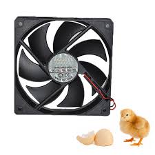 Your kitchen exhaust fan ducting must be perfect to avoid problems. Buy 12v Mini Exhaust Fan For Mini 48 56 Automatic Egg Chicken Incubator Accessories At Affordable Prices Price 7 Usd Free Shipping Real Reviews With Photos Joom