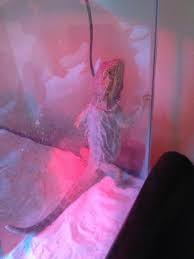 kimberly hubert (@khubert143)