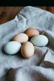 Some of them say that many people have become obese because they are fond of junk. 101 Egg Recipes To Use Up Extra Eggs