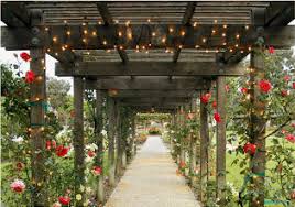 Senior Apartments Senior Living Walnut Creek Manor Walnut Creek California With Images Senior Apartments Senior Living Retirement Living