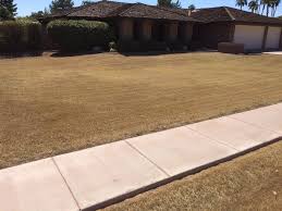 Check spelling or type a new query. Lawn Tips The Plugman Law Aeration Landscape