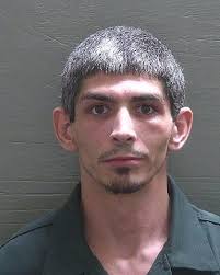 Man stabbed sister's boyfriend to death at Big Lagoon State Park, ECSO says