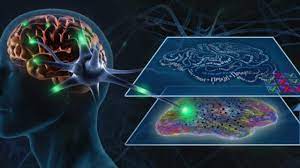 What Exactly Is Neural Imprinting Wall Street Com