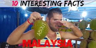 Like every country in the world, malaysia has unique wonders that make it special. 14 Interesting Facts About Malaysia Nomadic Boys