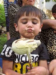 How to Start Savouring Pamiri Food ( & Culture)