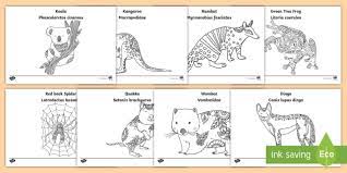 Calm species from a farm, like horse, donkey, dog, goat, cow, and pigs. Mindfulness Australian Animals Colouring Pages Colouring