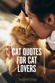 Best cat quotes selected by thousands of our users! 40 Best Cat Quotes For Cat Lovers Cat Love Quotes Cat Quotes Cat Person Quotes