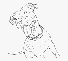 So let us get them. Printable Pitbull Dog Coloring Pages Hd Png Download Transparent Png Image Pngitem