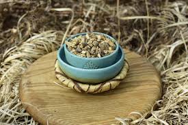 Image result for Helinus integrifolius