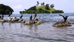 It is saturated with methane gas that, if extracted properly, can be used to power a country where only 20 percent of residents have electricity. Visit Lake Kivu In Rwanda Bugoma Forest Tours And Travel