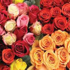Maybe you would like to learn more about one of these? Jewel Osco On Twitter Roses Make The Perfect Mother S Day Gift Grab Her A Bunch Today And Wow Her Tomorrow Don T Like Roses No Problem Almost All Our Flowers Are On Sale This