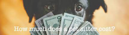 We did not find results for: How Much To Pay A Pet Sitter Paws At Home