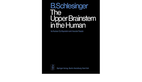 Neurological lesion identification and neuro examination quiz. The Upper Brainstem In The Human Its Nuclear Configuration And Vascular Supply Schlesinger B Ferner H 9783540074977 Amazon Com Books