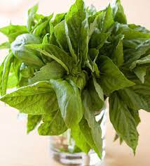 We did not find results for: How To Store Fresh Basil Eatingwell