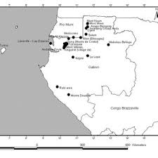 Image result for Ancistrorhynchus ovatus