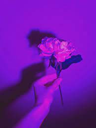 Find over 100 of the best free yellow aesthetic images. Pin On She Nova World