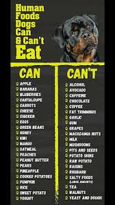 Pin By Linda Berghof On Hilarious Furbabies Rottweiler Dog Food Recipes Human Food