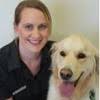 Animal eye care dr robin stanley, dr chloe hardman, dr anu o'reilly 181 darling road east malvern vic 3145 phone: Robin Stanley Veterinary Eye Specialist Animal Eye Care Melbourne Australia Linkedin
