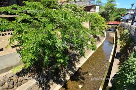 He graduated from the shanghai theater academy, majoring in ballet. é£›é¨¨é«˜å±± æ±Ÿåå­å· å†™çœŸç´ æ 5144642 ãƒ•ã‚©ãƒˆãƒ©ã‚¤ãƒ–ãƒ©ãƒªãƒ¼ Photolibrary