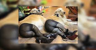 Check spelling or type a new query. Zoophileed Lea Nude