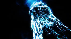 Feel free to send us your own wallpaper and. Blue Eagle Wallpapers Top Free Blue Eagle Backgrounds Wallpaperaccess