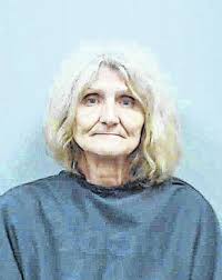 Two arrested in shooting of SLED K9