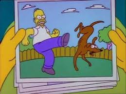 The Simpsons Lost Dog Photo Youtube