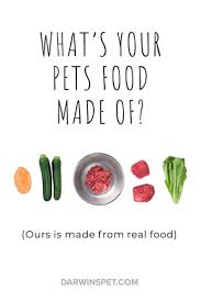 Just like raw cat food, raw dog food gives you more control over what you're filling your furkid's food bowl with. 300 Raw Dog Food Ideas In 2021 Raw Dog Food Recipes Dog Food Recipes Natural Pet