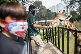 Terutama sembilan kebun binatang terbaik di indonesia yang bisa jadi tujuan kamu berikutnya. Kebun Binatang Bandung Kembali Dibuka Bagian 2