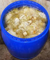 Atunci se spune din popor ca iese cea mai buna varza murata pentru iarna, se mentine moarea (zeama) limpede si nu se baleste, nu se strica varza pana primavara tarziu. Pin On Muraturi