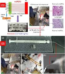 Image result for Ricin