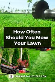 Let's use an example that happens all the time. How Often Should You Mow Your Lawn Spring Lawn Care Lawn Care Business Lawn