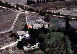 Le Mas De La Source Saint Remy De La Provence Provence Caroline De Monaco Chat Mignon