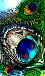 Hd Wallpaper For Samsung Galaxy J2 480x800 Download Hd Wallpaper Wallpapertip Download hd samsung galaxy m31s stock wallpapers best collection.