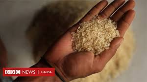Add tuwon shinkafa and tuwon masara to the list, and i think that pretty sums up the knowledge about northern cuisine for miyan taushe is usually served with rice masa or tuwon shinkafa. Dalilai Uku Da Fadar Buhari Ta Bayar Kan Tsadar Abinci A Najeriya Bbc News Hausa