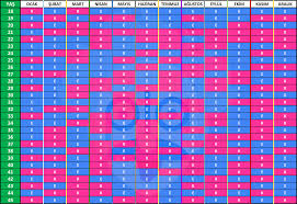 cin takvimine gore cinsiyet tahmini profesor hesaplamaci