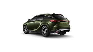 Image result for Nori Green 2023 UX