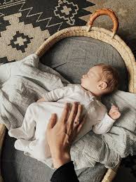 Changing Basket Cover Bassinet Mattress Cover Changing Pad Cover Moses Basket Cover Changing Table Cover Baby Basket Bed Baby Moses Basket Bassinet