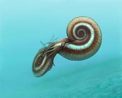 Sea Creatures By Olorotitan On Deviantart Prehistoric Creatures Prehistoric Animals Ammonite