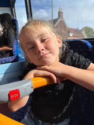 Foxes in fishery Lane 🦊🦊