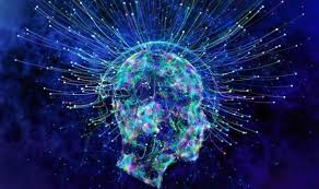 Image result for fractal brain