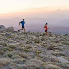 Learn When To Hammer Your Workouts And When To Chill Cross Country Skier Workout Easy Workouts