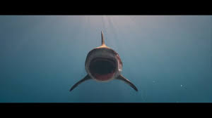 Deep blue sea 3 is a 2020 science fiction natural horror film starring tania raymonde. Deep Blue Sea 3 2020 Imdb