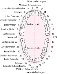 Meine große bekam sie mit 2 1/2 und wir haben nichts davon bemrkt (dafür hat sie all die jahre davor bei jedem neuen zahn gebrüllt und schlecht geschlafen). Malokklusion Zahn Mund Kieferkrankheiten Msd Manual Profi Ausgabe