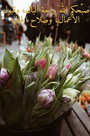 صور صباح الخير جديده مسجات صباح الخير 2020 صباح الورد Zina Blog Purple Tulips Tulips Flowers