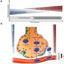 How is myasthenia gravis diagnosed? Merits And Culprits Of Immunotherapies For Neurological Diseases In Times Of Covid 19 Ebiomedicine