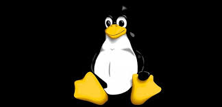 Image result for new linux penguin