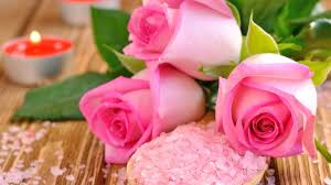 All the rose wallpaper undergoes a strict filtering by the publication, which guarantees excellent quality of the pictures. 4k Ultra Hd Rose Wallpaper