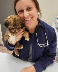 Omaha Animal Medical Group